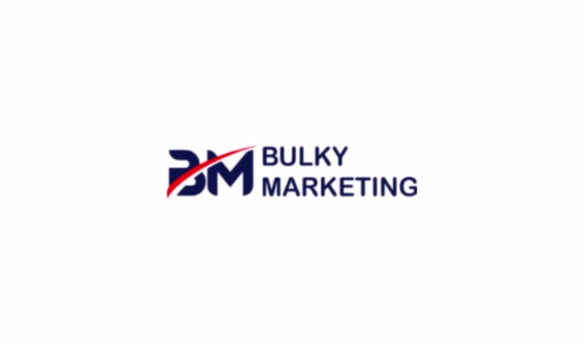 Bulky Marketing: Redefining Marketing Success Through Innovation and Collaboration